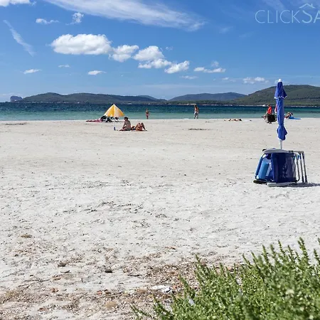 Daire Clicksardegna - Rafel Penthouse Right On The *